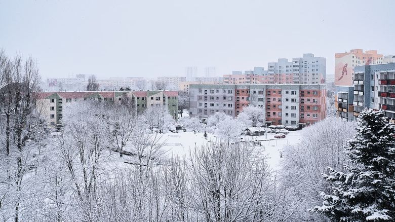 Зимний сад в квартире: какие нормативы нужно соблюсти?